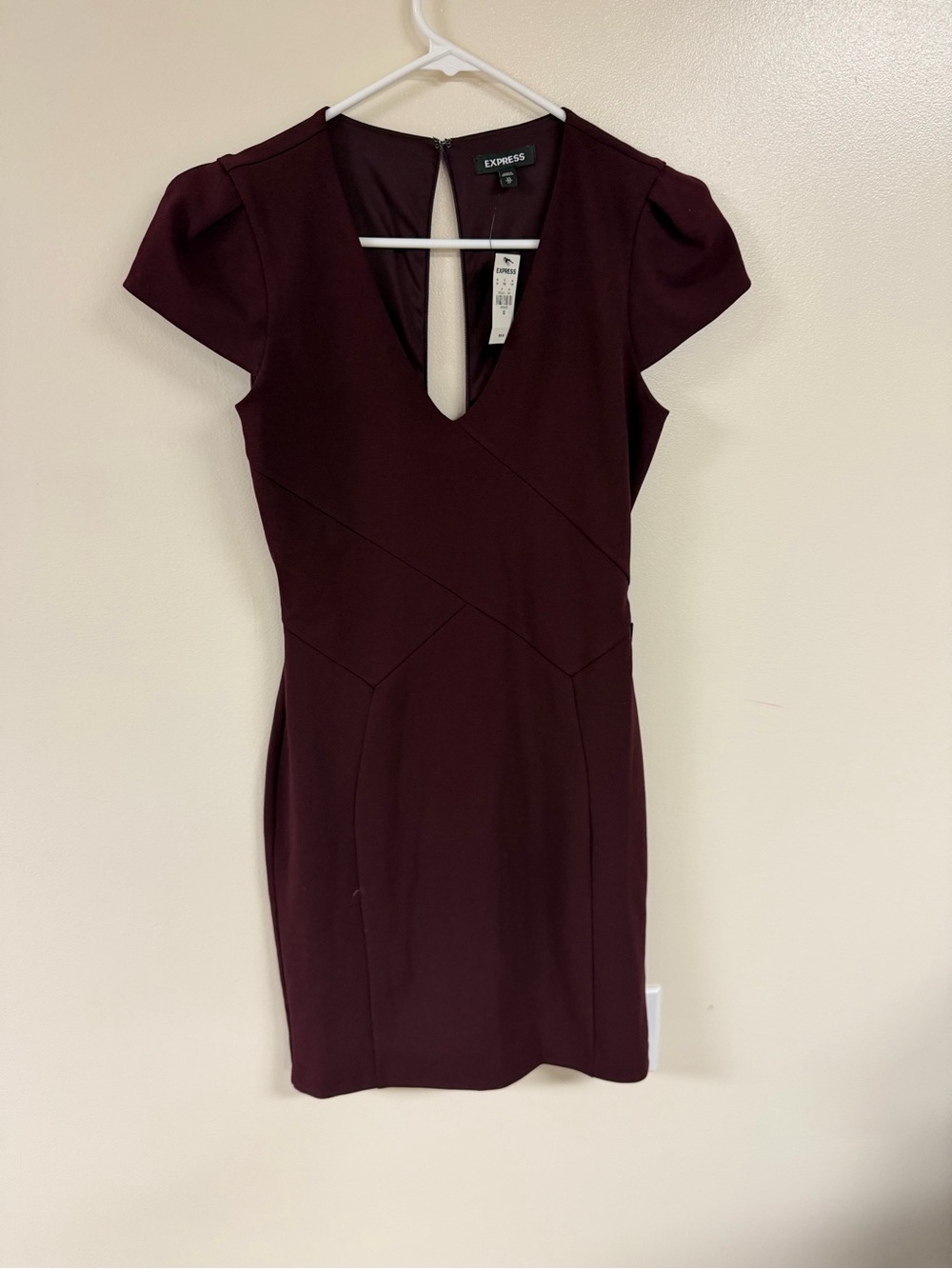 Express Plum Cap-Sleeve Mini Dress